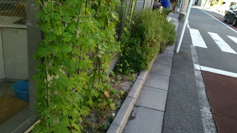 最新情報 奥沢居宅介護支援事業所 福祉 介護 支援 社会福祉法人 奉優会 ほうゆうかい