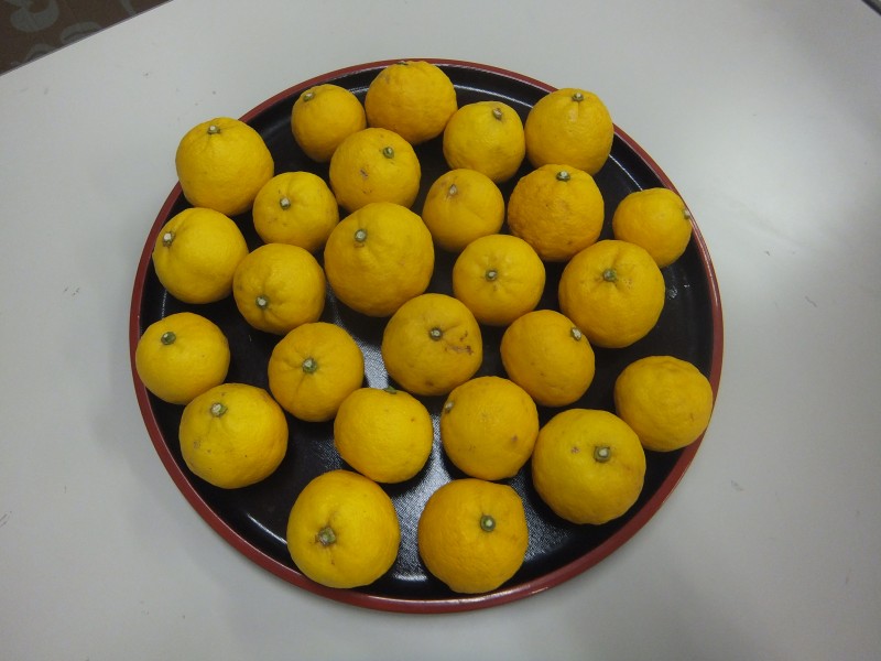 最新情報 デイホーム宮前ふれあいの家 福祉 介護 支援 社会福祉法人 奉優会 ほうゆうかい