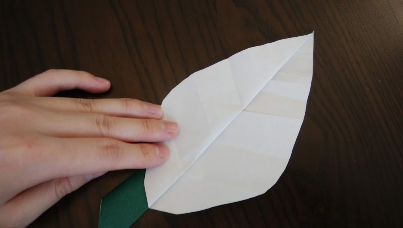 最新情報 港区立白金台いきいきプラザ 福祉 介護 支援 社会福祉法人 奉優会 ほうゆうかい