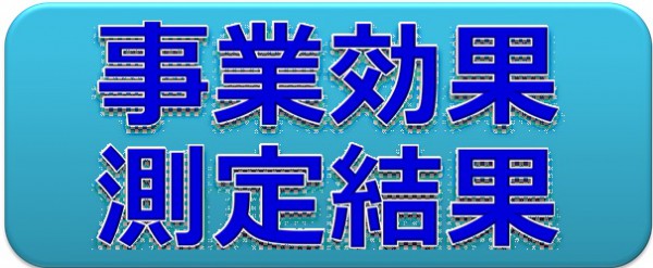 事業効果測定結果