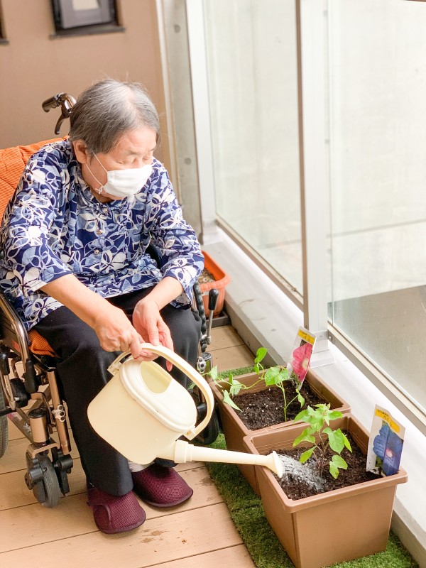 最新情報 特別養護老人ホーム奉優の家 福祉 介護 支援 社会福祉法人 奉優会 ほうゆうかい