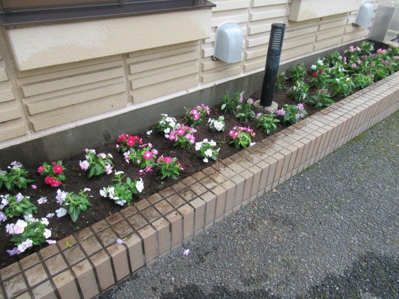 最新情報 ふじみ野市立介護予防センター 福祉 介護 支援 社会福祉法人 奉優会 ほうゆうかい