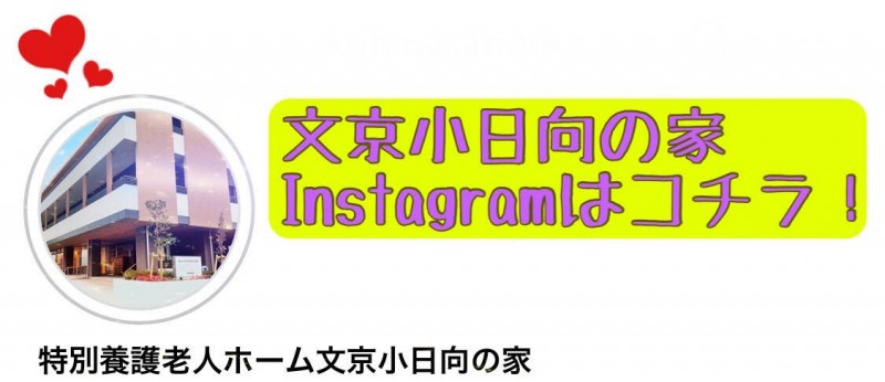 文京小日向の家　instagram